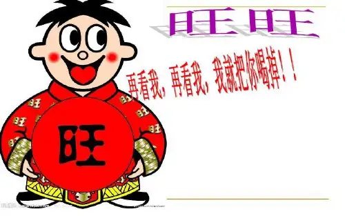旺旺集团PPT