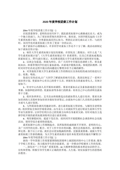 2020年度学校团委工作计划