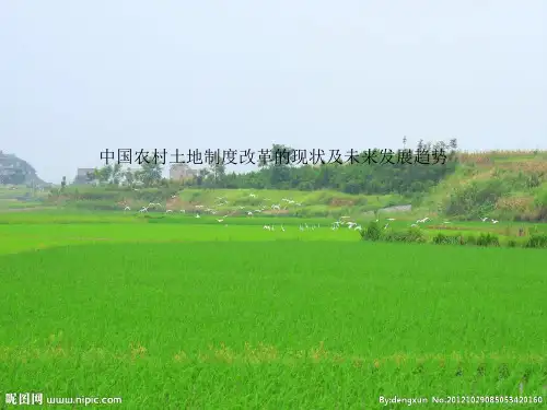 中国农村土地制度改革的现状及未来发展趋势