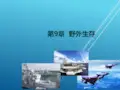 大学军事理论第9章