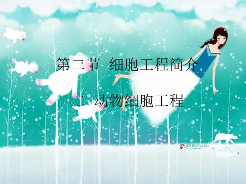 动物细胞工程中小学PPT教学课件