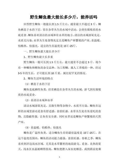 野生鲫鱼最大能长多少斤,能养活吗