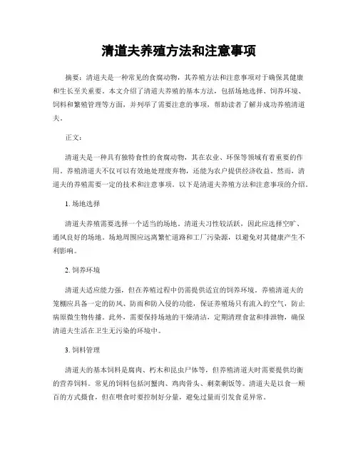 清道夫养殖方法和注意事项