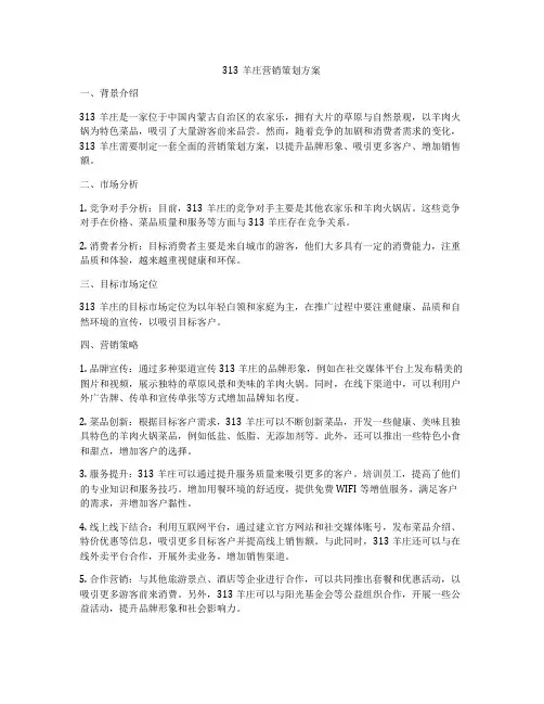 313羊庄营销策划方案