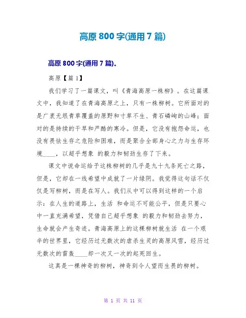 高原读后感800字(通用7篇)