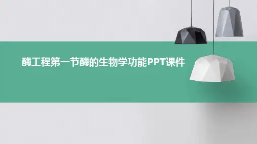 酶工程第一节酶的生物学功能PPT课件