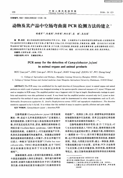 动物及其产品中空肠弯曲菌PCR检测方法的建立