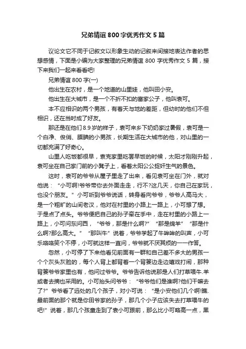 兄弟情谊800字优秀作文5篇