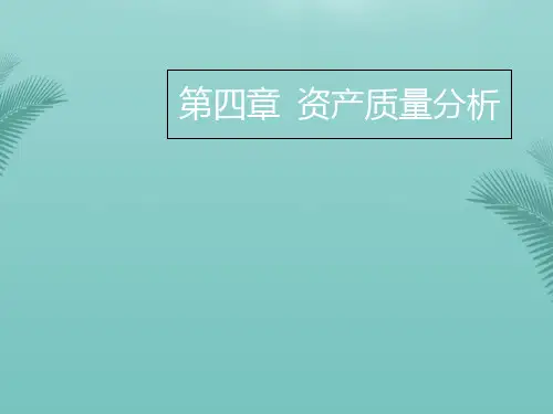【精选】资产质量分析固定无形资产PPT