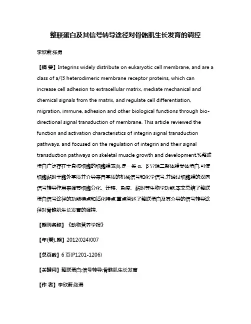 整联蛋白及其信号转导途径对骨骼肌生长发育的调控