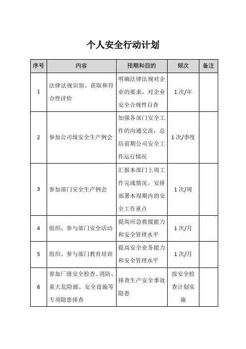 个人安全行动计划
