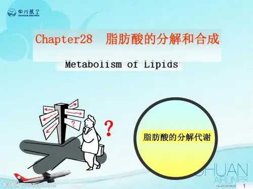 脂肪酸的分解和合成  ppt课件