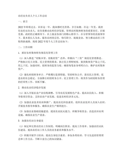 农经站负责人个人工作总结 2