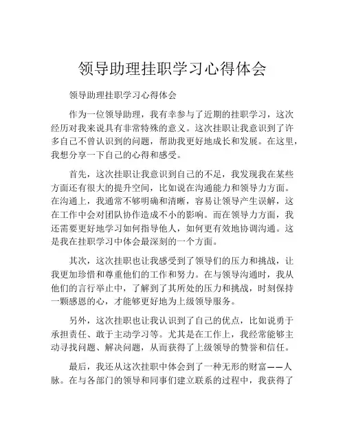 领导助理挂职学习心得体会