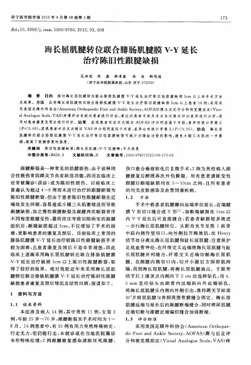 踇长屈肌腱转位联合腓肠肌腱膜 V-Y延长治疗陈旧性跟腱缺损