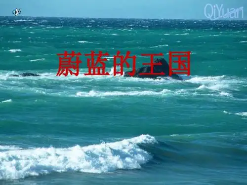 初中语文《蔚蓝的王国》(共27张)ppt13