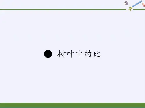 六年级数学上册课件-树叶中的比(共35张PPT)PPT