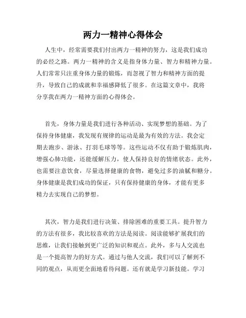 两力一精神心得体会