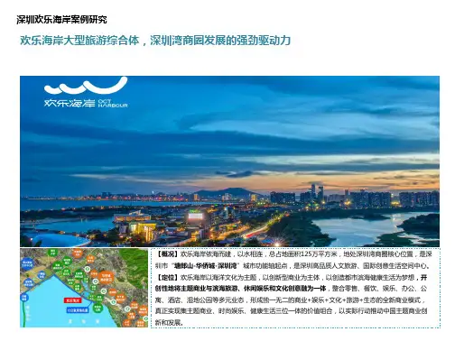 2020深圳欢乐海岸案例详解(原创)