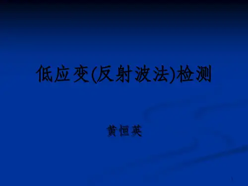 低应变(反射波法)检测培训_OK