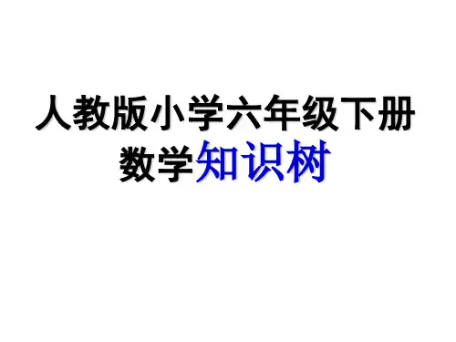 六年级数学下册知识树.ppt