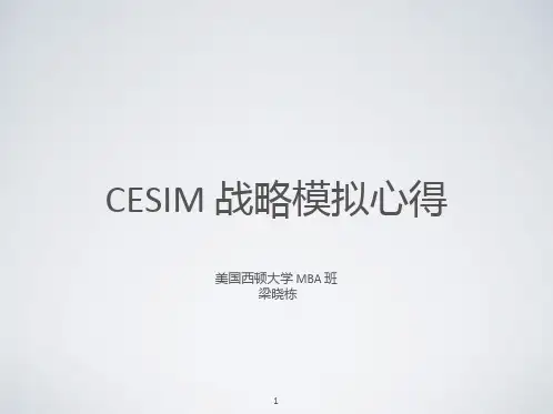 战略模拟软件CESIM全攻略ppt课件