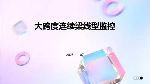 大跨度连续梁线型监控x