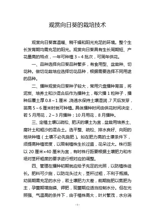 观赏向日葵的栽培技术