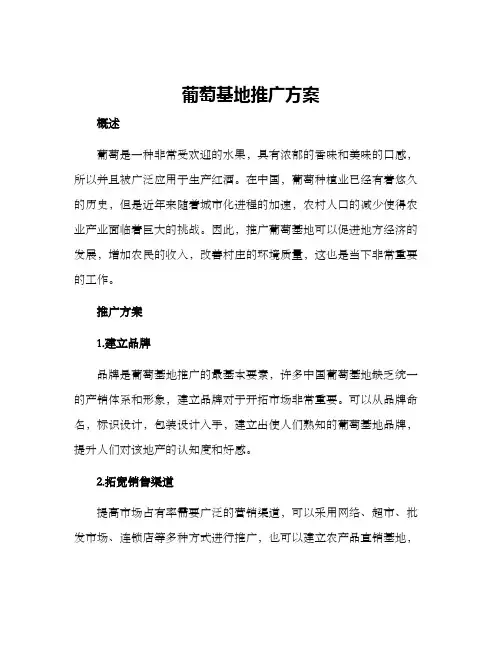 葡萄基地推广方案