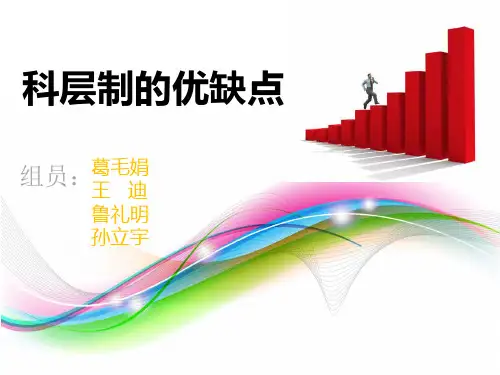科层制的优缺点