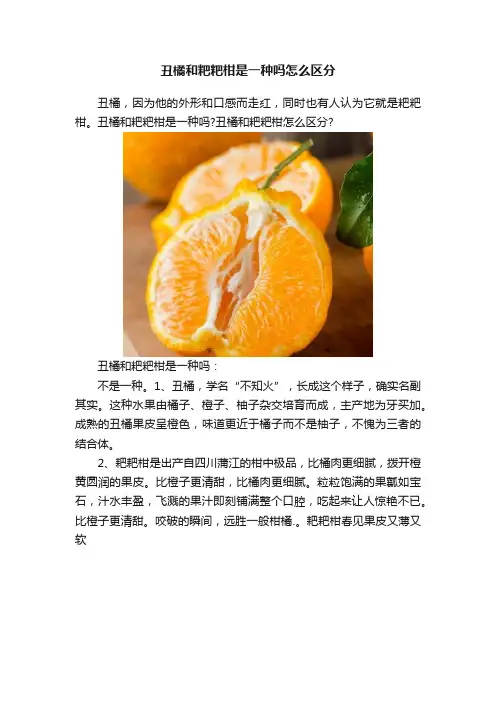 丑橘和粑粑柑是一种吗怎么区分