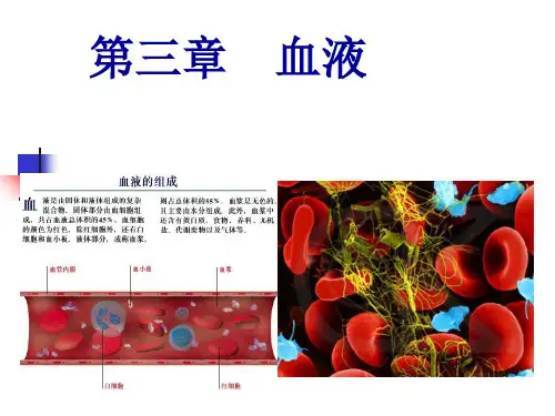 动物生理学第三章血液