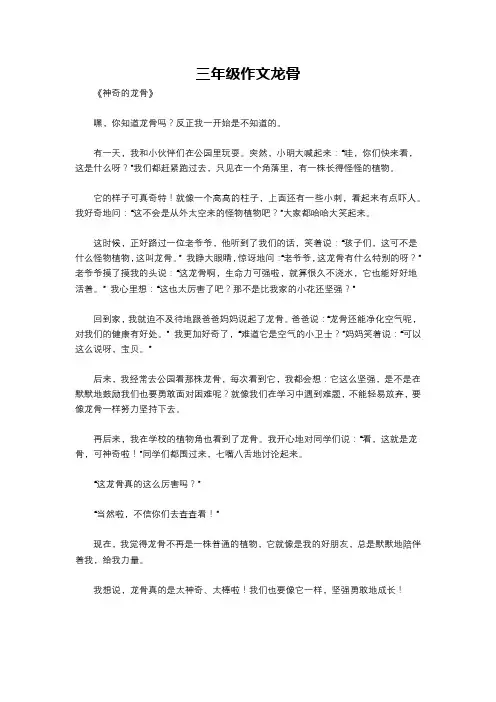 三年级作文龙骨