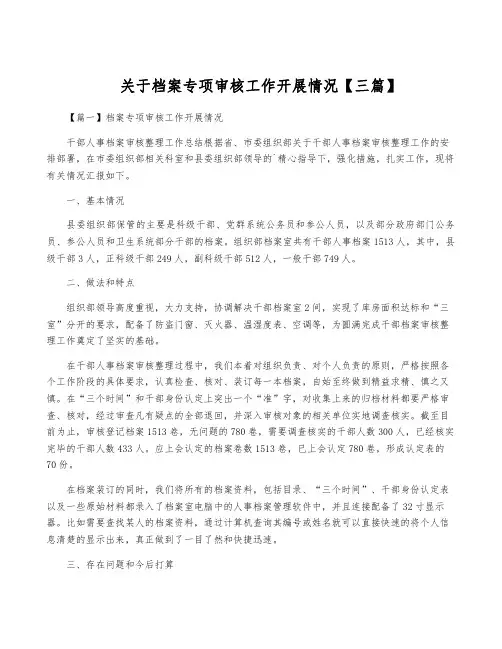 关于档案专项审核工作开展情况【三篇】