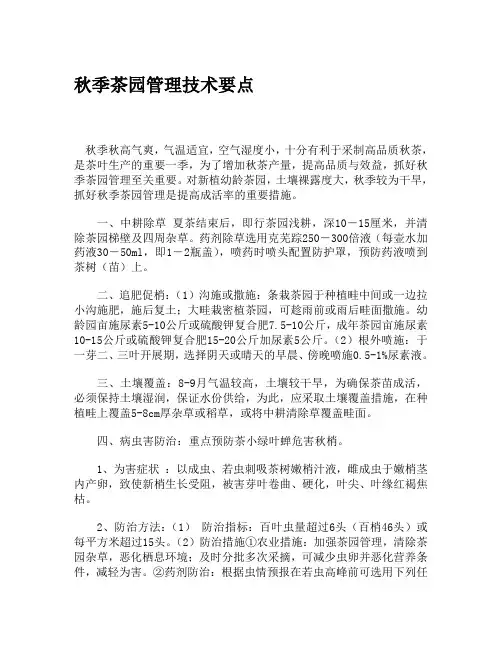 秋季茶园管理技术要点