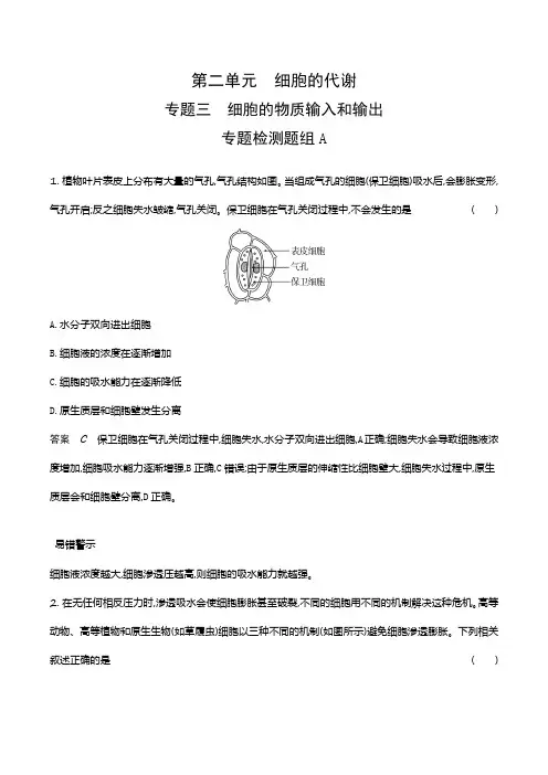2024新课标高考生物第一轮章节复习--专题三细胞的物质输入和输出