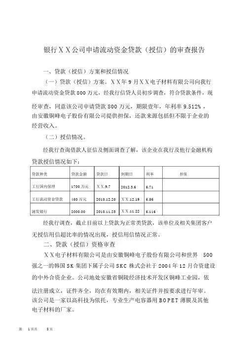 银行ⅩⅩ公司申请流动资金贷款(授信)的审查报告