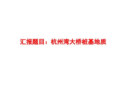 跨海杭州湾大桥桩基地质汇报