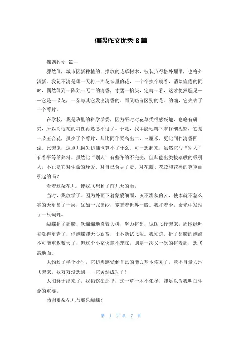 偶遇作文优秀8篇