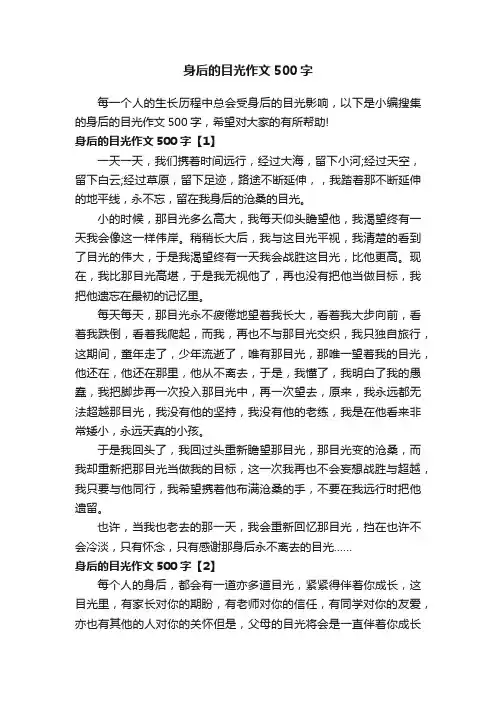 身后的目光作文500字