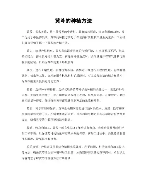 黄芩的种植方法