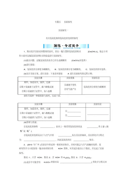 广东省中考化学复习专题提升试题：专题五实验探究一有关氢氧化钠和氢氧化钙变质的探究(含答案)