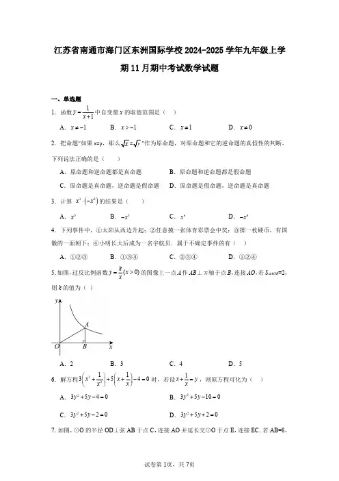 江苏省南通市海门区东洲国际学校2024-2025学年九年级上学期11月期中考试数学试题