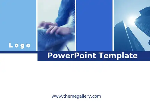 themegallery_PPT模板(非常全面)