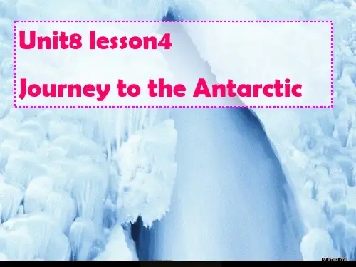Journey-to-the-Antarctic课件