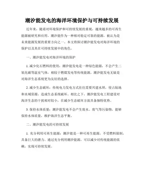 潮汐能发电的海洋环境保护与可持续发展