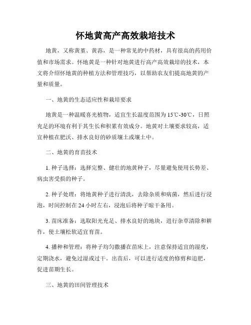 怀地黄高产高效栽培技术