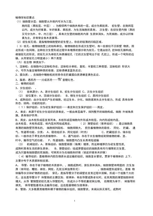 植物学知识要点