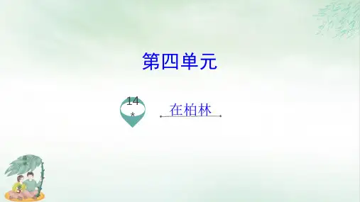 《在柏林》ppt完整版11(共15张PPT)