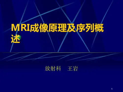 MRI成像原理及序列概述PPT课件